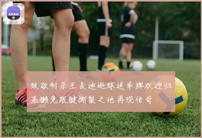 致敬耐杀王麦迪逊球迷举牌欢迎归来獭兔跟腱撕裂之地再现传奇