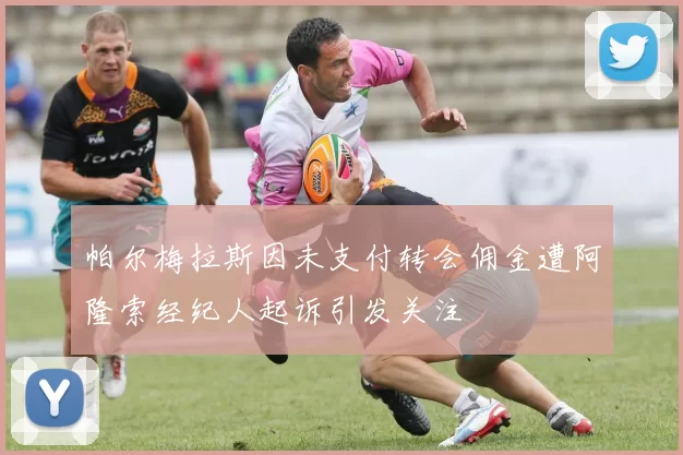 帕尔梅拉斯因未支付转会佣金遭阿隆索经纪人起诉引发关注
