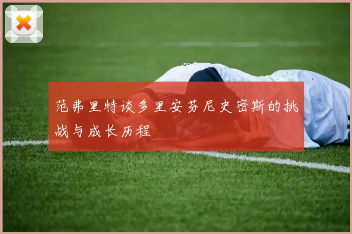 范弗里特谈多里安芬尼史密斯的挑战与成长历程